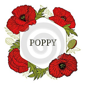 Card, template with hand drawn leaves, branch and flowers red poppy.