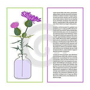 Card with Thistle Flower
