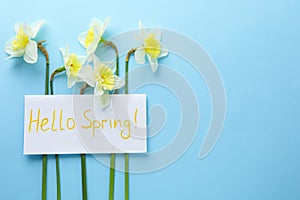 Card with words HELLO SPRING and fresh flowers on blue background, flat lay. Space for text