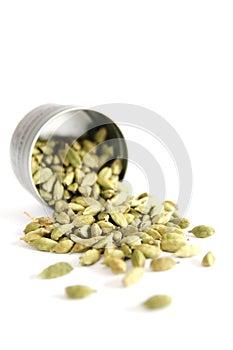 Cardamom