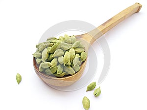 Cardamom