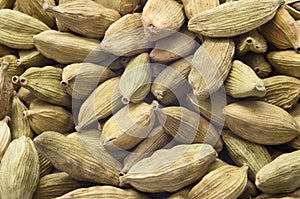 Cardamom