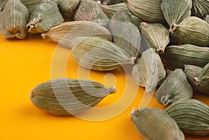 Cardamom