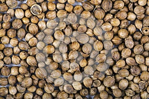 Close-up image of cardamom photo