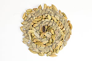 Cardamom elachi dry spice photo