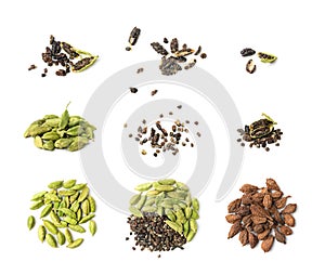 Cardamom Isolated, Green Cardamon Seeds, Dry Kardamon, Cardamum Spice, Genera Elettaria Beans