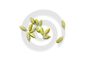 Cardamom Isolated, Green Cardamon Seeds, Dry Kardamon, Cardamum Spice , Genera Elettaria Beans