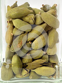 Cardamom pods