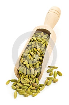 Cardamom seed pods in scoop