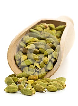 Cardamom seed pods in scoop