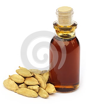Cardamom seeds with oil