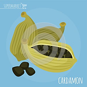 Cardamon flat design vector icon.