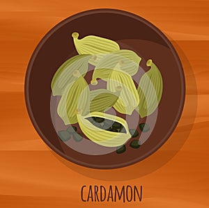 Cardamon flat design vector icon.