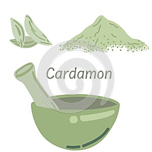 Cardamon indian spice green colour on white background