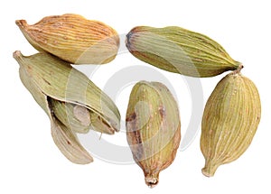 Cardamon seeds