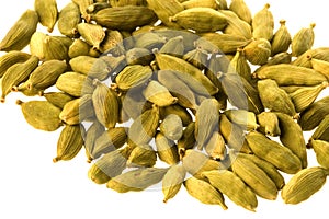 Cardamon Seeds Isolated