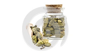 Cardamon seeds in wooden scoop and jar on isolated on white background. front view. spices and food ingredients