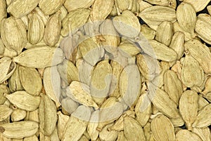 Cardamon spice background