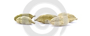 Cardamon  on white background. Spices isolated