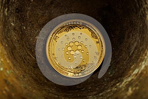 Cardano Coin in Rustic Bowl photo