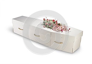 Cardboard bio-degradable eco coffin isolated with photo