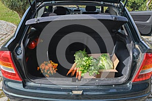 cardboard box with an assortment of fresh vegetables stands in the trunk of a car, natural products and healthy eating