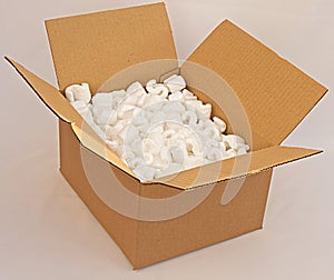 Cardboard box with foam packing.