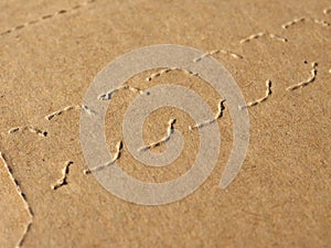 cardboard box packet parcel