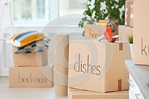 Cardboard boxes and adhesive tape dispenser indoors
