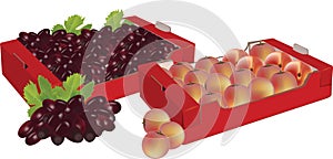 cardboard boxes containing grapes and peaches-