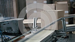 Cardboard boxes on conveyor belt in factory. Clip. Production line on which the boxes move