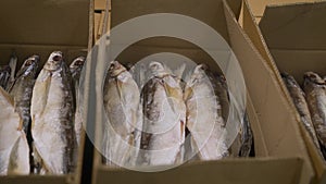 Cardboard boxes with fish in the warehouse. Fish in a box before shipment