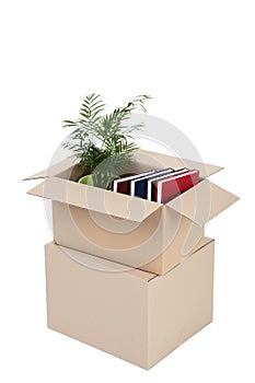 Cardboard boxes with plant and books