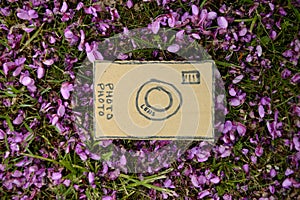 Cardboard camera and violet flowers