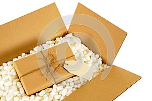 Cardboard delivery box with brown paper mail package and blank manila address label