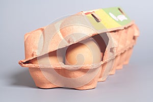 Cardboard egg box with brown eggs