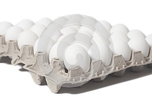 Cardboard egg box with chicken white eggs