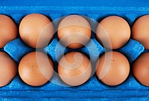 Cardboard egg box with eggs