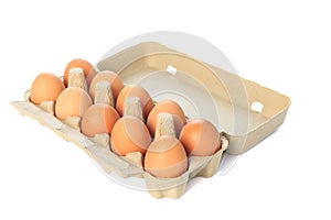 Cardboard egg box with ten brown eggs isolated