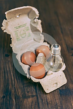 A cardboard egg container has three eggs and a tungsten light bulb inside