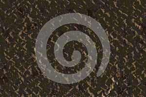 Cardboard mimetic pattern brown green photo
