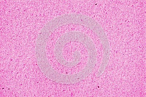 Cardboard old grainy texture background