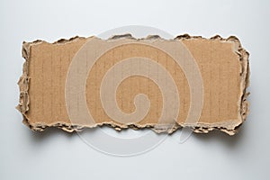 Cardboard torn piece