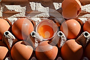 Cardboard tray filled with brown eggs, one egg is broken