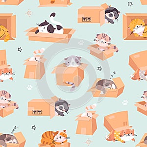 Cardboards boxes with cats seamless pattern. Kittens playing, resting and transportation in box. Cartoon funny pets