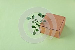 Cardbox from recyclable organic materials with green leaves. Eco friendly packaging, zero waste and plastic free concept