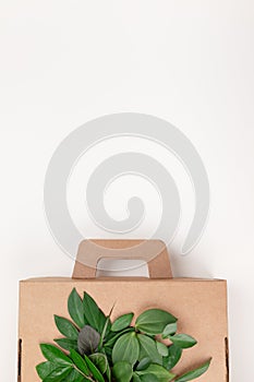 Cardbox from recyclable organic materials with green leaves. Eco friendly packaging, zero waste and plastic free concept