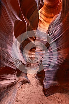 Cardiac Slot Canyonin Arizona photo