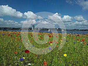 Cardiff Bay