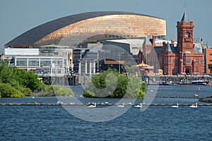 Cardiff Bay skyline, taken from the water, showing the Millennium Centre, Pierhead Building and other buildings on the harbour